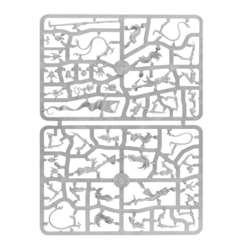 Daughters of Khaine Devoted of Morathi