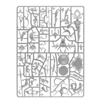 Daughters of Khaine Devoted of Morathi