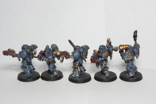 Warhammer 40k Space Wolves Wolves Pack x10 (Painted)