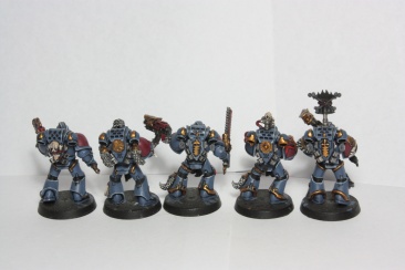 Warhammer 40k Space Wolves Wolves Pack x10 (Painted)