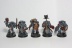 Warhammer 40k Space Wolves Wolves Pack x10 (Painted)
