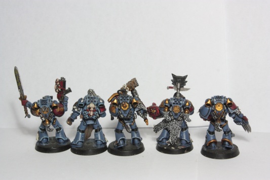 Warhammer 40k Space Wolves Wolves Pack x10 (Painted)