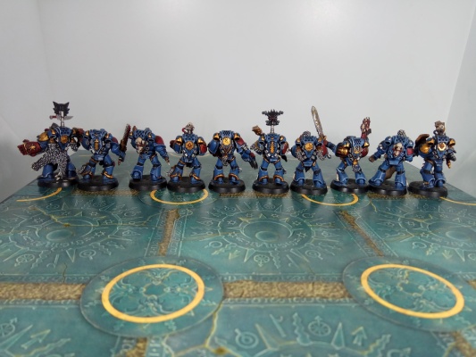 Warhammer 40k Space Wolves Wolves Pack x10 (Painted)