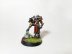 Warhammer 40k Adepta Sororitas Canoness Veridyan (Pro-Painted)