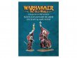 Battle Standard Bearer Mounted and on Foot