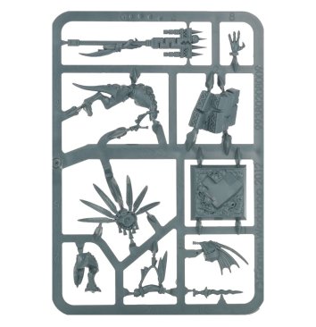 Seraphon Starclaw Strikehost