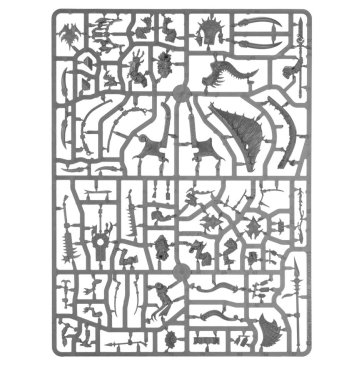 Seraphon Starclaw Strikehost