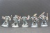 Warhammer 40000 Space Wolves Wolves Pack x10 (Painted)