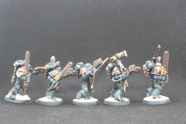 Warhammer 40000 Space Wolves Wolves Pack x10 (Painted)