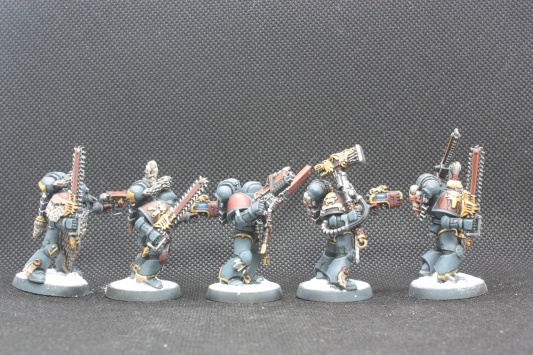 Warhammer 40000 Space Wolves Wolves Pack x10 (Painted)
