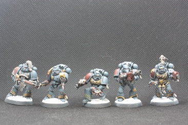 Warhammer 40000 Space Wolves Wolves Pack x10 (Painted)