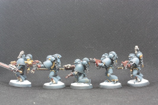 Warhammer 40000 Space Wolves Wolves Pack x10 (Painted)