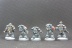 Warhammer 40000 Space Wolves Wolves Pack x10 (Painted)