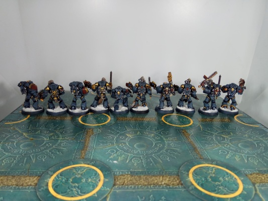 Warhammer 40000 Space Wolves Wolves Pack x10 (Painted)