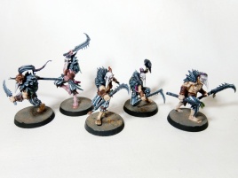 Warhammer Age of Sigmar Warcry Corvus Cabal x5 (Pro-Painted)