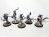 Warhammer Age of Sigmar Warcry Corvus Cabal x5 (Pro-Painted)
