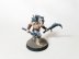 Warhammer Age of Sigmar Warcry Corvus Cabal x5 (Pro-Painted)