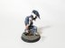 Warhammer Age of Sigmar Warcry Corvus Cabal x5 (Pro-Painted)