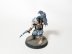 Warhammer Age of Sigmar Warcry Corvus Cabal x5 (Pro-Painted)