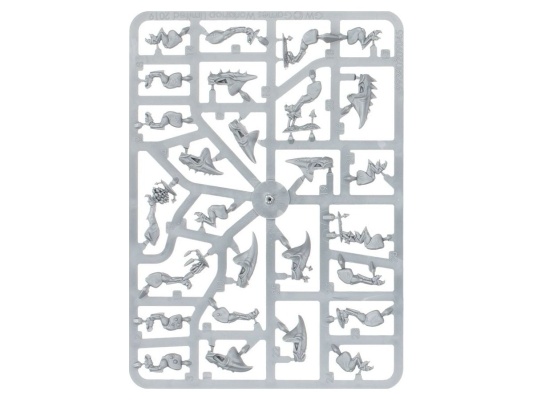 Dawnbringers: Braggit’s Bottle-snatchaz (Age of Sigmar)