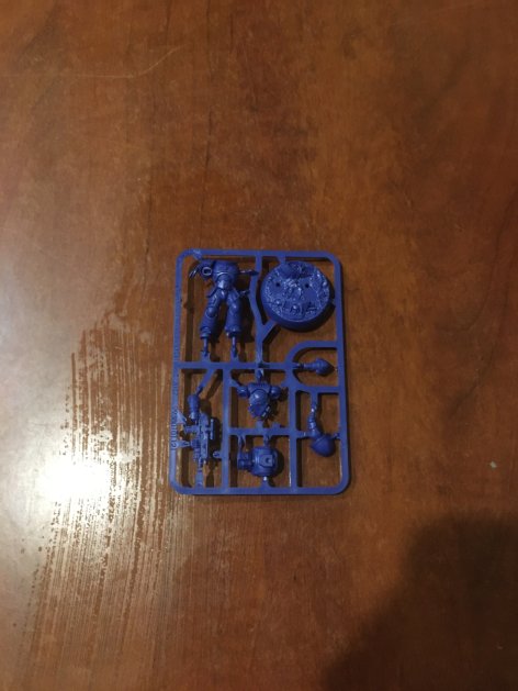 Getting Started with Warhammer 40k 8ed, Intercessor