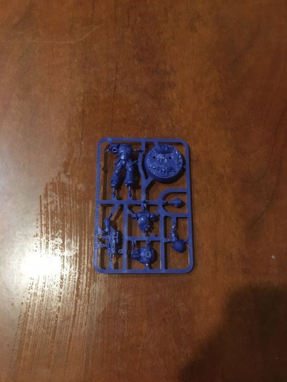Getting Started with Warhammer 40k 8ed, Intercessor