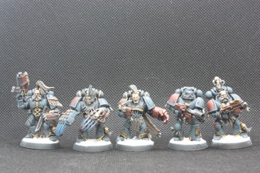 Warhammer 40k Space Wolves Wolves Pack x11 (Painted)