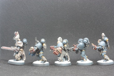 Warhammer 40k Space Wolves Wolves Pack x11 (Painted)