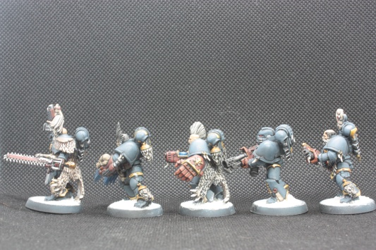 Warhammer 40k Space Wolves Wolves Pack x11 (Painted)
