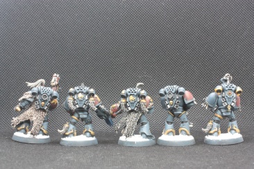 Warhammer 40k Space Wolves Wolves Pack x11 (Painted)