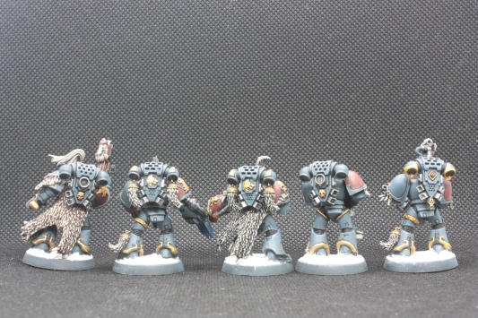 Warhammer 40k Space Wolves Wolves Pack x11 (Painted)