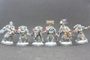 Warhammer 40k Space Wolves Wolves Pack x11 (Painted)