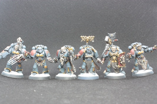 Warhammer 40k Space Wolves Wolves Pack x11 (Painted)