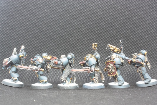 Warhammer 40k Space Wolves Wolves Pack x11 (Painted)