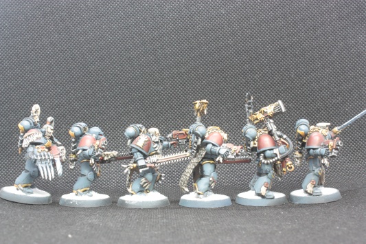 Warhammer 40k Space Wolves Wolves Pack x11 (Painted)