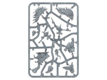 Dawnbringers: Fjori’s Flamebearers (Age of Sigmar)