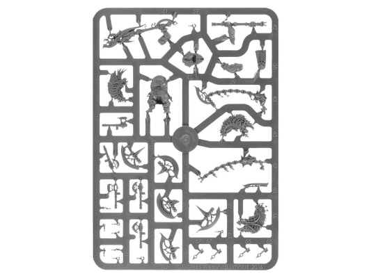 Dawnbringers: Fjori’s Flamebearers (Age of Sigmar)