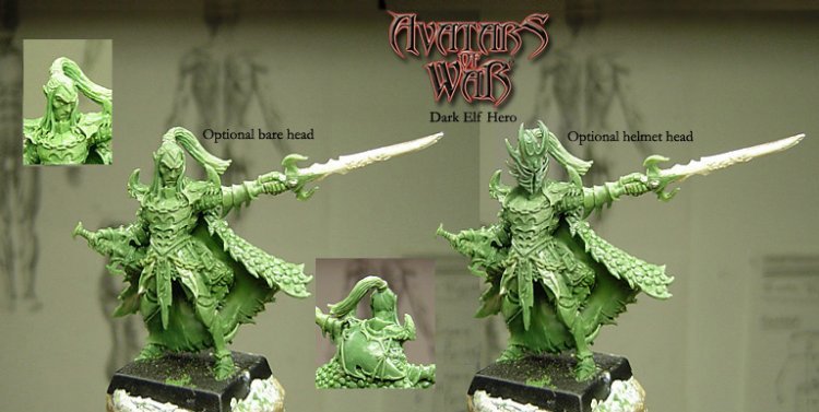 Dark Elf Hero