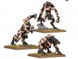 Skin Wolves (предзаказ 2024, GW Direct)