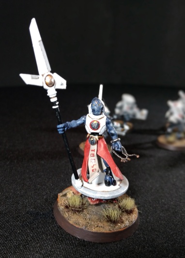 Warhammer 40k Tau Empire Ethereal and 10 Pathfinders (Tau Army item №4/9, Pro-Painted)