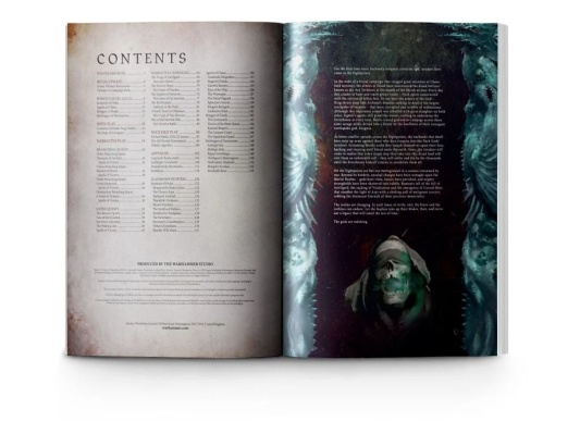 Warcry: Tome of Champions 2021 (предзаказ 2022)