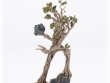 Beechbone the Ent (предзаказ 2025, GW Direct)