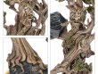 Beechbone the Ent (предзаказ 2025, GW Direct)
