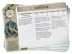 Seraphon Army Set (Age of Sigmar)