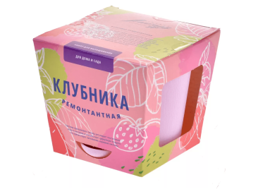 Тысяча листьев: Клубника ремонтантная