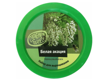 Вырасти дерево: Белая акация