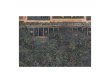 60220699005_ENGDeathworldForest03.jpg