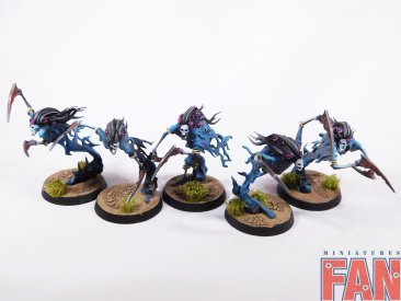 Warhammer Age of Sigmar Death Dreadscythe Harridans x5 (Pro-Painted)