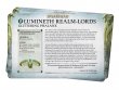 Faction Pack: Lumineth Realm Lords (предзаказ 2024)