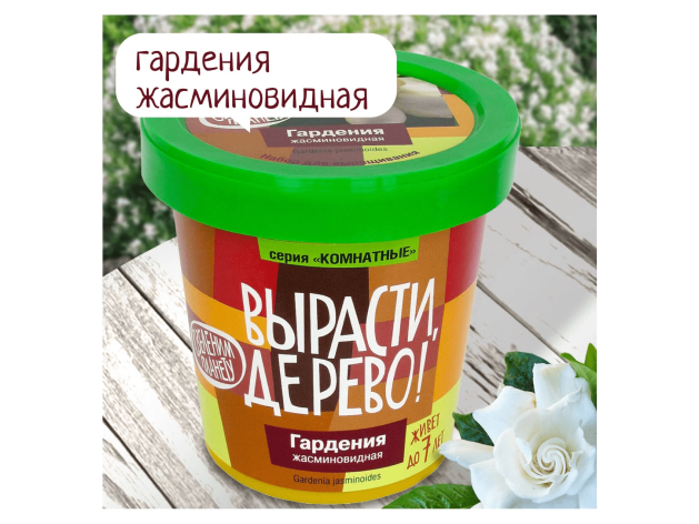 Вырасти дерево: Гардения жасминовидная